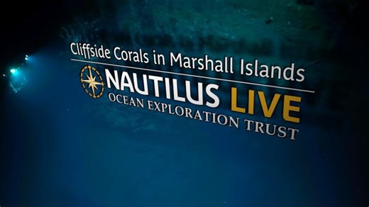 Cliffside Corals in Marshall Islands Deep Sea | Nautilus Live | Ocean Exploration Trust
