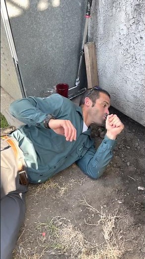 How To Keep Rats Out of Your Home | Rodent Exclusion | Pest Solutions