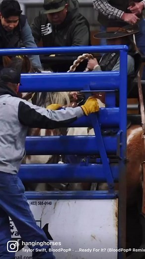 390K views · 10K reactions | All smiles at the first EVER  ladies bronc riding school! #ranchbronc #ladiesranchbronc #canonr5 #rodeo | Hanging Horses | Facebook