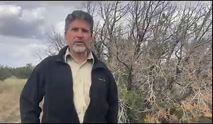 Have you noticed all the dying juniper trees across the Coconino? Watch our forest experts talk about what's going on with the ongoing juniper die-off. | U.S. Forest Service - Coconino National Forest