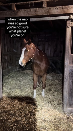 farmninetysix (@farmninetysix)’s videos with Dial up Internet Connection (Old Modem Slow 56k Noise Clip) [Sound Effect] - Finnolia Sound Effects