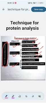 technique for protein analysis ( determination of protein structure)