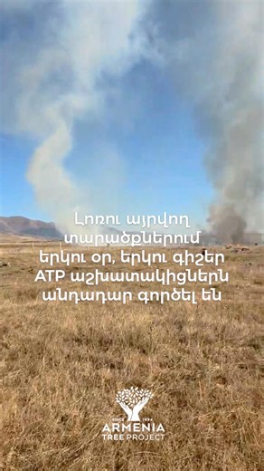 Dry conditions across Armenia continue to put forests at risk of wildfires. In Lori, ATP staff worked tirelessly for two days and two nights in collaboration with emergency responders from the Rescue Service to prevent the fires from spreading. The wildfire risk will decrease once a layer of snow covers the ground, making dry grasses and underbrush less flammable. Until then, ATP is actively implementing fire-prevention measures, including creating buffer zones around forests in vulnerable regio