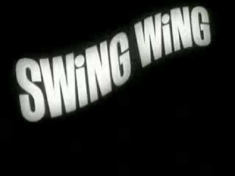 RETRO COMMERCIAL-Toys-Swing Wing