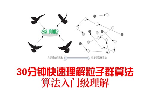 粒子群算法入门&30分钟速成
