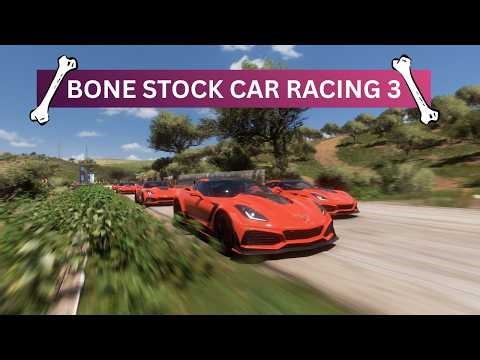 Forza Horizon 5 | Bone Stock Car Racing 3