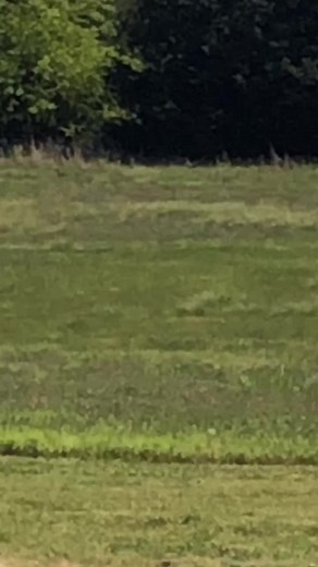 Dusty Tuckness on TikTok