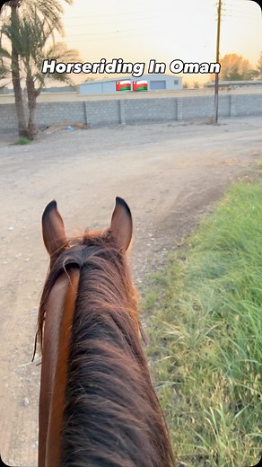 Horseriding In Oman 🇴🇲🇴🇲 | Oman Tours and Trips