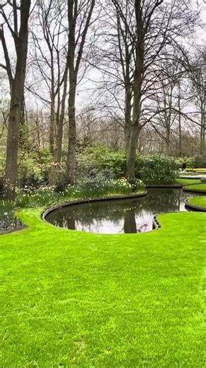 Exploring Keukenhof, Netherlands, Europamundo from Asmaa K. 🌷