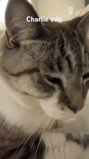 Charlie edit #capcut