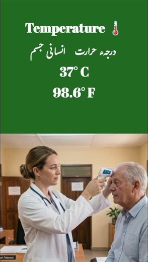 Human body normal temperature?