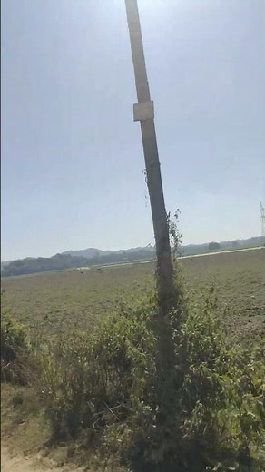 Breathtaking Rural Scenery: Lush Green Fields Under a Bright Sun 🌞🌿