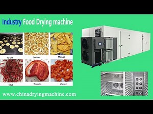 Fast & Efficient and Fully Automatic Drying Solution for Fruit and Vegetable Fish