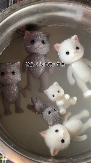 なにも上手くいかなくてクヨクヨしてしまう1週間でした。。 周りのうまくいっている姿に目がいってしまって自分と比較して羨ましくなってしまう やっている事にたいしての 成功体験がまだ無いので 今は種まきの時期だなと思えるようファミリーちゃん達に癒してもらいます #シルバニアファミリー #シルバニア #癒し #可愛い #日常