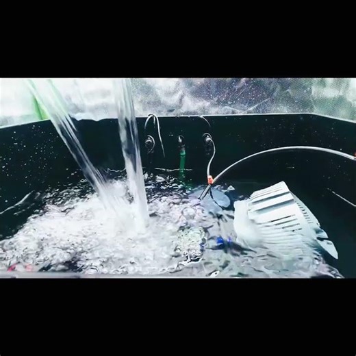 Build Your Own Hydroponic Clone Machine