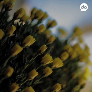 "Am meisten Spaß macht, dass man so viel selbstständig machen darf. Seit Beginn der Ausbildung dürfen wir mit dem System arbeiten wobei Fehler kein Problem darstellen." (Leonie Krüger, Azubi Kauffrau im Gesundheitswesen) Die Techniker (TK) - Ausbildung und Karriere: www.tk.de/ausbildung | whatchado | Facebook