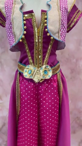 Handmade Aladdin Princess Jasmine Dress Cosplay Costume for Adult Women Girls - Etsy