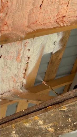You can DIY this. And it will last half a century. | Spray Foam Insulation
