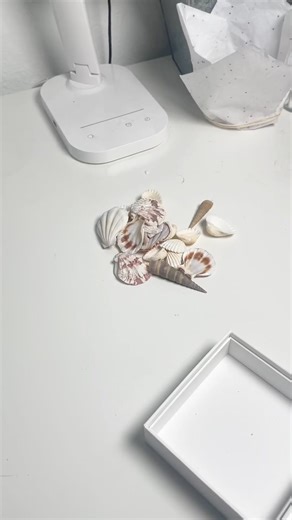 Bring the beach home with a DIY sea shells shadow box! 🌊🐚 Create a stunning display with your favorite sea shells! ✨ Perfect for adding a coastal touch to any room! 🏖️ #SeaShellCrafts #ShadowBoxDIY #DesignBundles #CraftingCommunity #BeachDecor #DIYProjects | Design Bundles