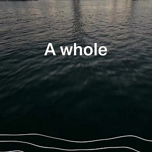 ️ Unlimited Views & Exclusive Perks for £40!  Get your Spinnaker Tower annual pass and enjoy a full year of breathtaking views, plus amazing benefits: ✨ Fast-track entry  10% off at Spinnaker Kitchen & Bar ☕ Discounted High Tea experiences  10% off at other Continuum Attractions ...and more!  Visit again and again while enjoying these exclusive rewards. | Spinnaker Tower | Facebook