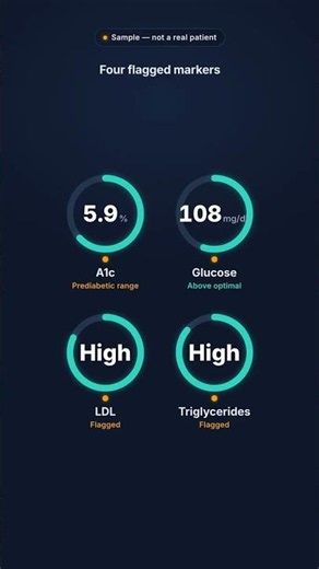 Lab results, decoded in plain English | E-Labus demo