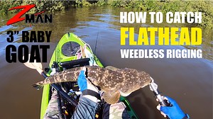 The ZMan 3" Baby GOAT is in action again, this time weedless rigged for targeting flathead along the mangrove edges. Fish on! Check out the ZMan 3" Baby GOAT at - http://tackletactics.com.au/ZMan-Lures/CreatureZ . . #fishing #flathead #zman #ttlures #okuma #fishplatypus #procurescent #tackletactics #letsgofishing | Tackle Tactics