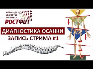 Оценка осанки - запись стрима от 24.11.2020 с Дмитрием Семёновым