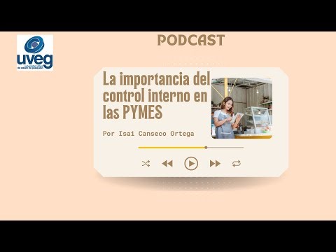 Reto 2 La importancia del control interno en las pymes