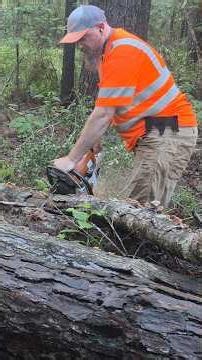 Clearing land with the Schäffer 2430 SLT and Stihl Chainsaw