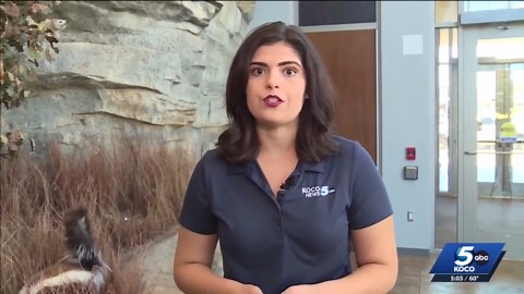 Oklahoma tribes challenge hunting license requirements amid deer season