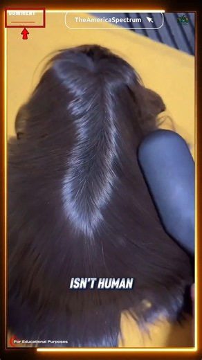 The Longest Hair in the Animal Kingdom? #documentary#usashorts#shorts