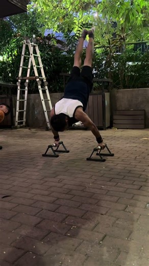 Planche press training