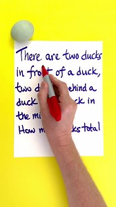Solve this riddle by calculating how many ducks there are in the line. | Prompted Reality