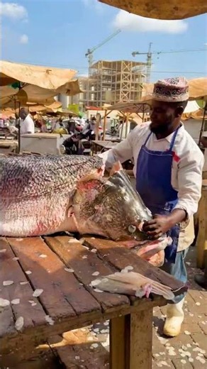 Giant 500kg Fish Pulled from African Lake Real Footage!