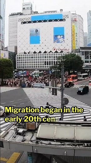 Brazil’s Surprising Japanese Connection 🇧🇷🇯🇵 | 1.6 Million People!