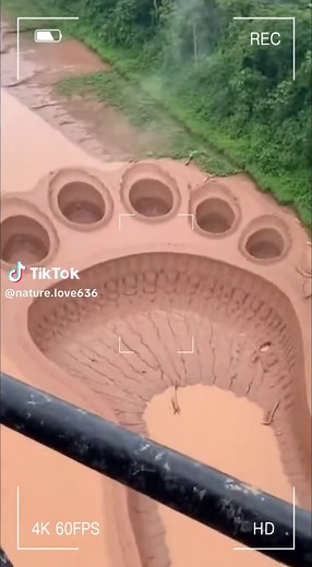 Massive Amazon Footprint: Something HUGE Was Here!