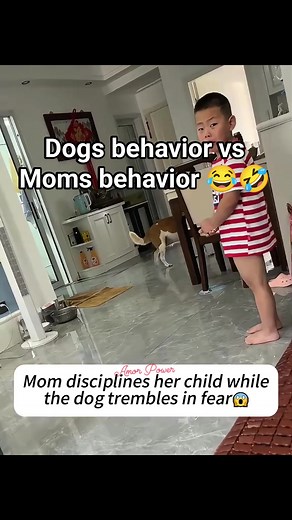 199K views · 5.5K reactions | Dogs behavior vs Moms behavior 藍 #everyoneシ゚ #highlightsシ゚ #reelsvideoシ #funnyvideos #nocopyrightinfringementintendedmusic | Amor Power | Facebook