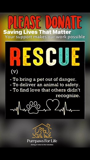 1.3K views · 12 reactions | We cannot do it without your support!! Please DONATE Purrpaws For Life *Capitec Business Bank* Vanderbijlpark Branch Code 450137 Cheque Acc No 1050748298 Swift code (CABLZAJJ) Every life saved is worth it! #Rescue | Purrpaws For Life Rescue Centre | Facebook