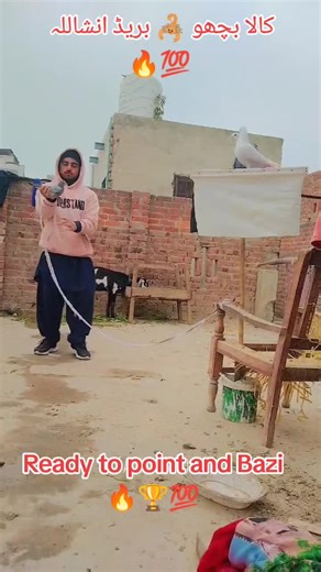 Home Bread Maker Tips for Perfect Baking