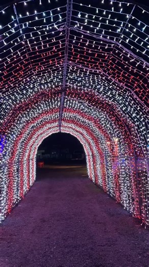 Christmas Village at the Blue Fox Drive-in is going to be so magical this year! ✨🎅🏼🎄 The magic starts November 28th. Get your Christmas Tree, take photos with Santa, take a ride on our hayride to see even more lights, find your way through the light-maze, ride the barrel-train, see some cute farm animals, take some fun photos and lots, lots more! Get your tickets now at: https://www.bluefoxdrivein.com/christmas-village November 28, 29 & 30th: 4-7pm December 5, 6, 7, 12, 13, 14, 19, 20, 21 & 2
