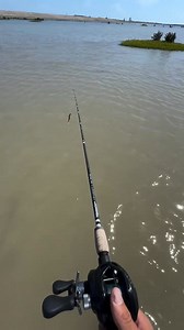 See Why 1000s of Anglers Are Making the Switch: | Florida Fishing Products