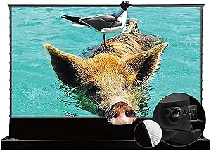 Elevate Your Home Theater Experience with The VividStorm S Pro Motorized Tension Floor Rising UST Projector Screen,VSDSTUST100HP