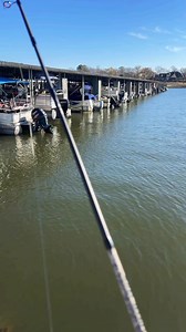 Ima call it a Cajun calzone #cooking #fishing #outdoors #easyrecipe #cheapprice #seafoodlover | Wade Fishez