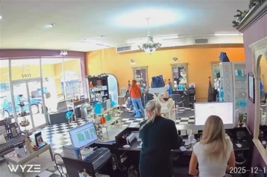 Falling for our Christmas specials! 😍 Run and catch them before they’re gone! 📍Come see us at 1102 N Jackson St or get gift cards online at www.sdsmagnolia.com 🎄🎅🏼 #serenitydayspa #christmas #sdsmagnolia #specialoffer #magnoliaar | Serenity Day Spa and Salon