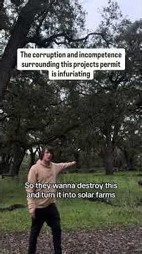Logging Old Growth Oak Trees For Solar Farms - How Green Energy In Not Always Green