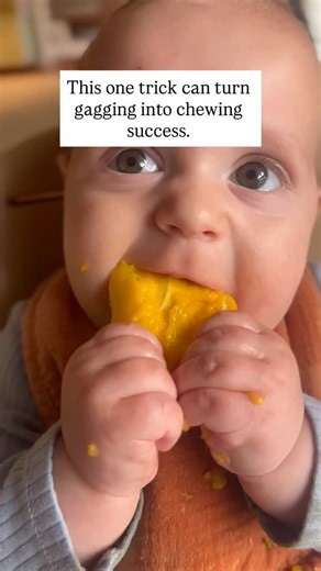 THE TRICK: Resitive food teethers ➡️Huh? It means offering unbreakable foods! Examples include mango pit (shown in video), spare rib bone, thick large unbreakable carrot stick, halved cucumber length wise, corn on cob (can cut corn off and serve cob only), watermelon rind, etc. ➡️ Why start with these? They significantly increase your baby’s oral motor skills to advance chewing skills. ➡️ When should I start? Start at 6 months for BLW when showing readiness signs for solids. Can also start when 