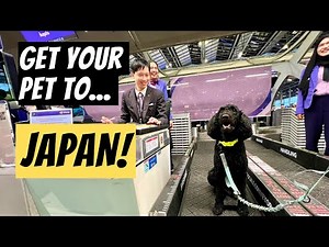 Moved My Dog to Japan...Here's How!