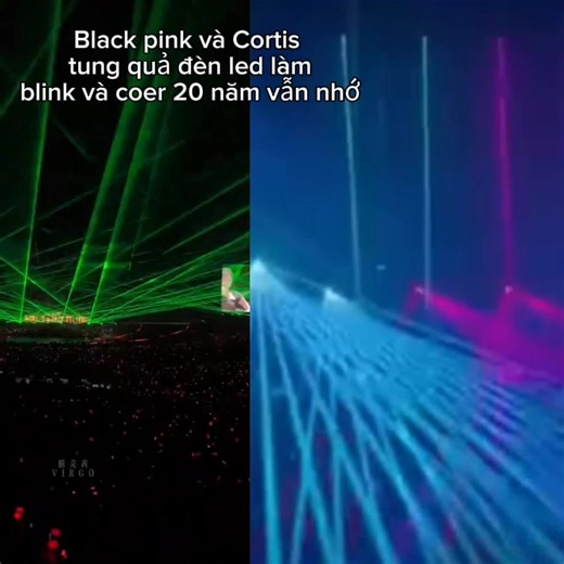 BLACKPINK Blinks reaction: Đã quá blink và coer owii