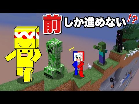 【前にしか進めない世界⁉️】2Dのマイクラでエンドラ討伐してみたら難しすぎたｗｗとにかく真っ直ぐ進むだけでサバイバル生活★【まいくら minecraft】ぽっぴんず