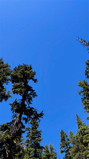 2.5K views · 30 reactions | Ignore TLC’s advice: It’s a great weekend to chase waterfalls at Mt. Hood Meadows! We’re now open for Summer Ops, temperatures are a good 20 degrees cooler than they are in the valleys, and we have beautiful waterfalls to cool off by. We look forward to seeing you up here! | Mt. Hood Meadows | Facebook